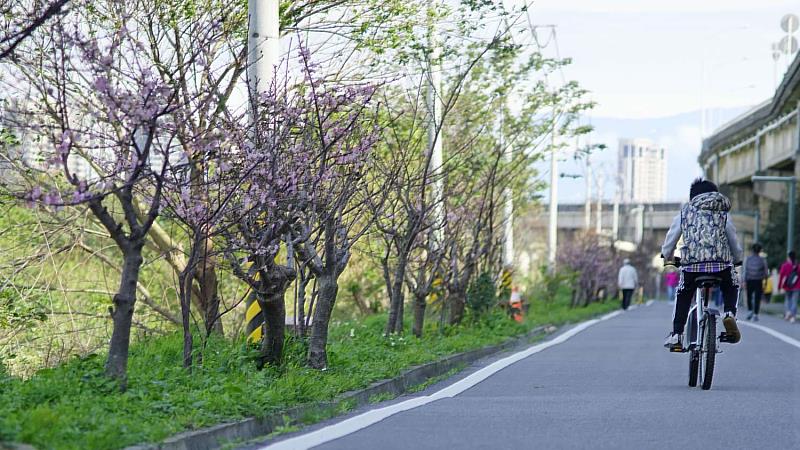「頭前溪河濱公園與自行車道」也憑藉著完善的運動休閒規劃，每月穩定貢獻16至19萬的休閒人次。
