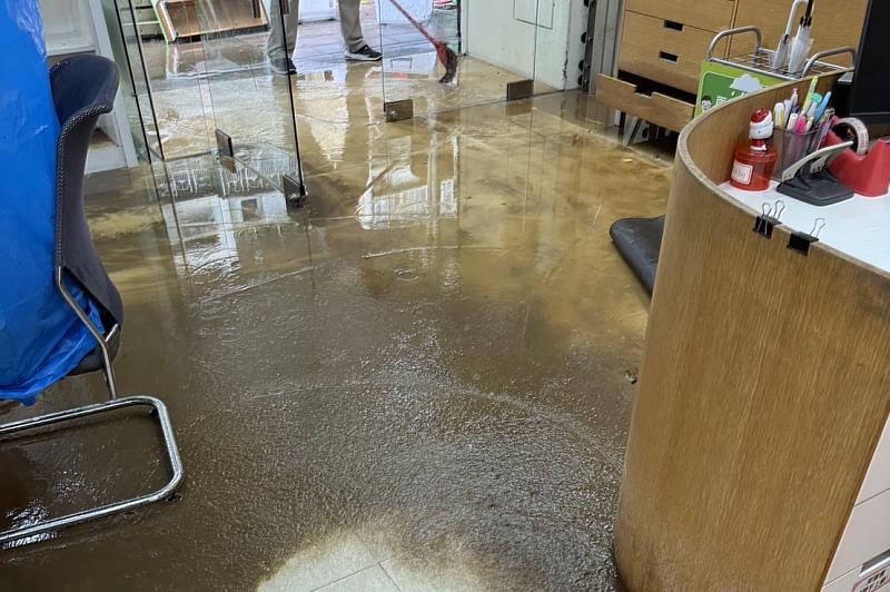 面對居家淹水,信義居家表示需把握先清潔再消毒,降低細菌、黴菌及病媒孳生帶來的健康風險。