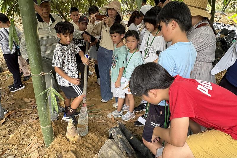 南大結合地方耆老傳承竹筍採收技藝，引領學童走入農村場域，親身體驗在地生活與文化智慧。