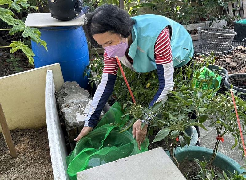 宣導民眾儲水容器加蓋紗網。