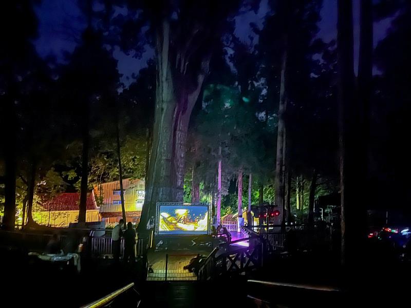 紅檜巨木與大螢幕相互輝映，山嵐更為森林電影夜增添浪漫氛圍。