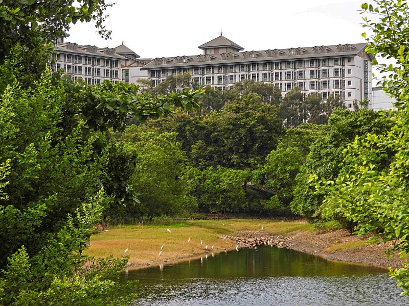 保育共生地認證場域－臺中科學園區。（國家科學及技術委員會中部科學園區管理局提供）