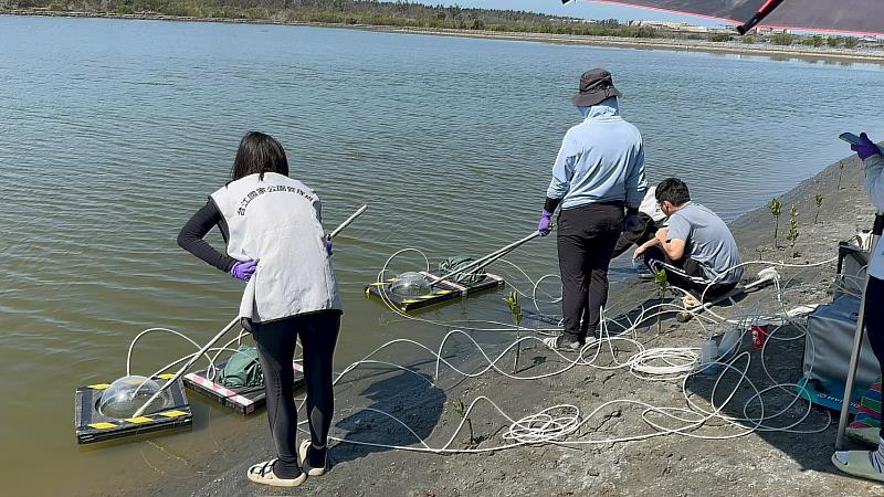 「台灣大藍碳 紅樹林復育計畫」執行科學監測,以罩蓋法量測底土的溫室氣體。