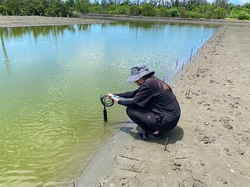 「台灣大藍碳 紅樹林復育計畫」於現地量測水體的pH值、鹽度、溫度以及溶氧,再以水瓶採水攜回實驗室進行水樣營養鹽分析。復育場域對銨鹽、硝酸鹽、亞硝酸鹽及磷酸鹽的去除率介於45%至88%,有助於降低沿海優養化水體的氮、磷負荷。