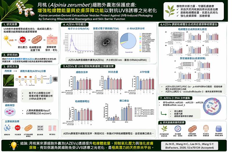 月桃葉研究成果示意圖。