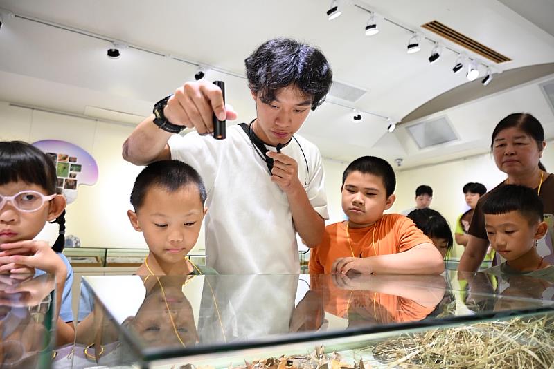 興大昆蟲系攜手苗栗新開國小舉辦「雕蟲小技」暑期科普營。