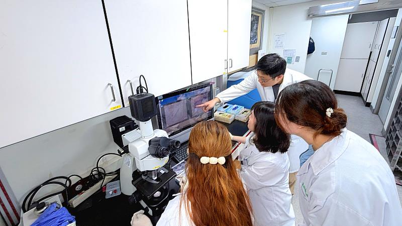 邱依琇助理教授教導學生如何判斷微核,解釋如何以微核試驗評估物質是否具有染色體損傷作用。