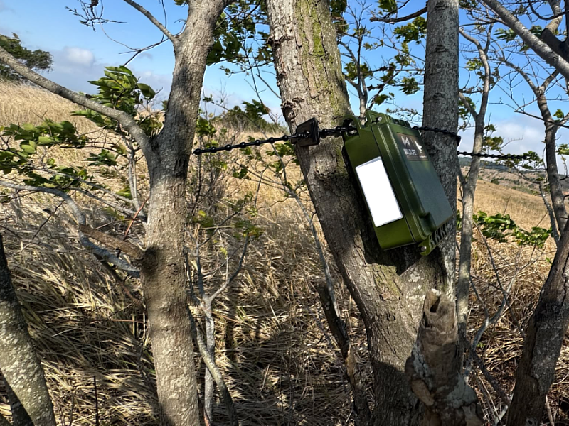 研究團隊透過於大肚山地區架設自動錄音機調查草鴞可能的活動區域。