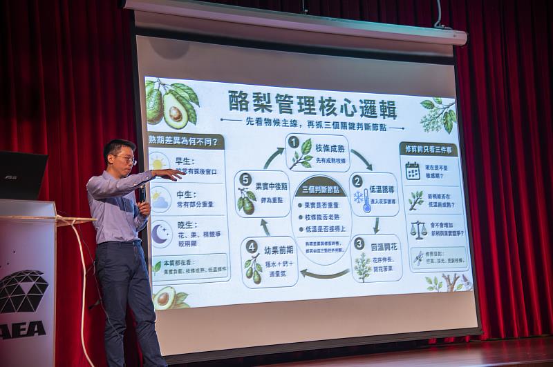 深入了解大內酪梨的核心特色，幫助酪梨產業永續發展。