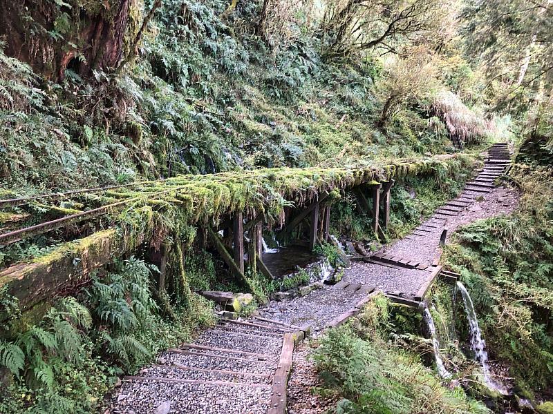 太平山見晴步道。（羅心秀攝影）