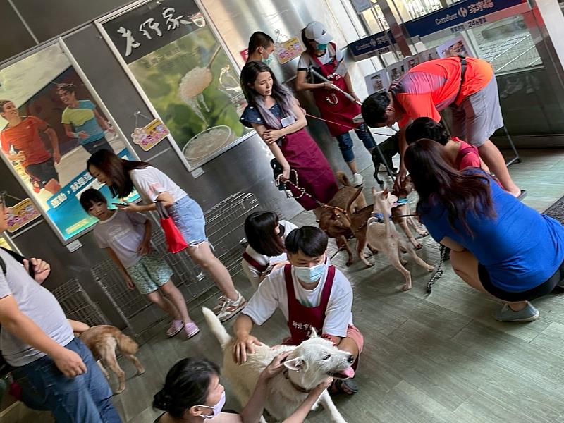 萬家福新店店在賣場舉辦動物送養活動。