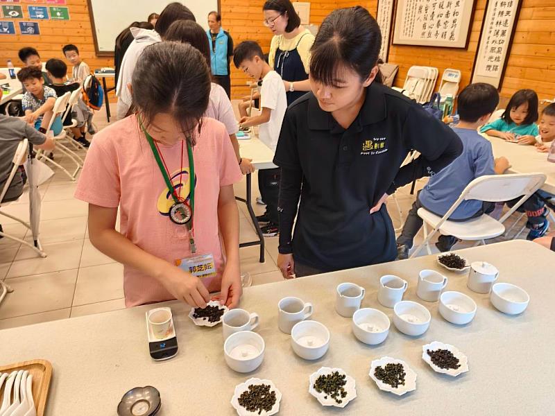 救國團溪頭青年活動中心「森呼吸・心體驗」溪頭自然探索營－小小茶師體驗。