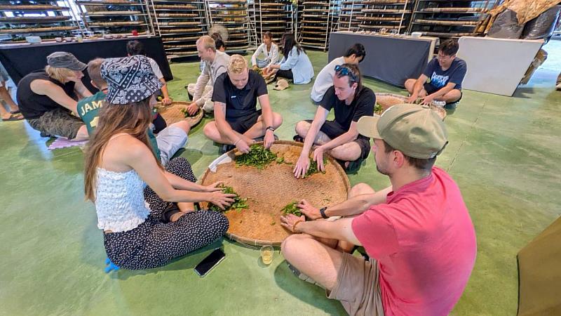 高雄六龜欣園製茶,親身體驗採茶、製茶及泡茶過程,感受臺灣茶文化的深厚底蘊。