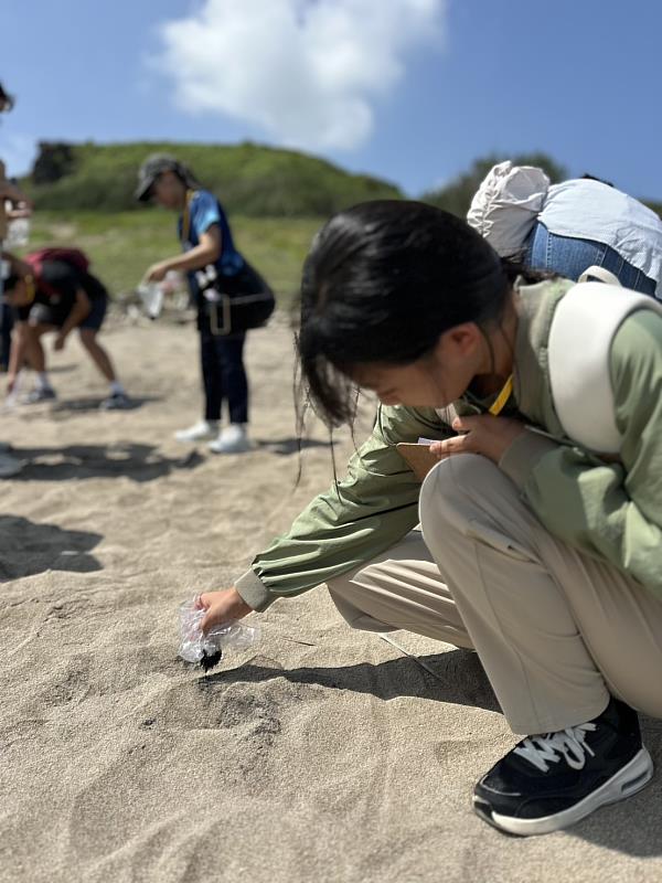 地質考察於麟山鼻海灘以磁鐵吸取磁鐵礦砂。