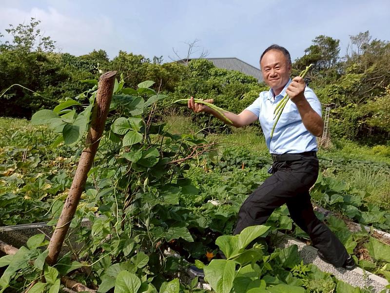 教學發展組組長連世銘老師採收長豆，親身體驗校園農耕的樂趣。