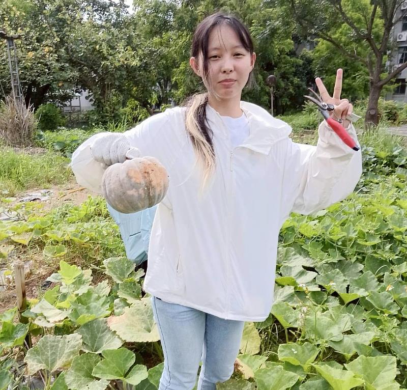 樂齡系學生親手採收南瓜，在田間體驗食農教育與收穫的成就感。