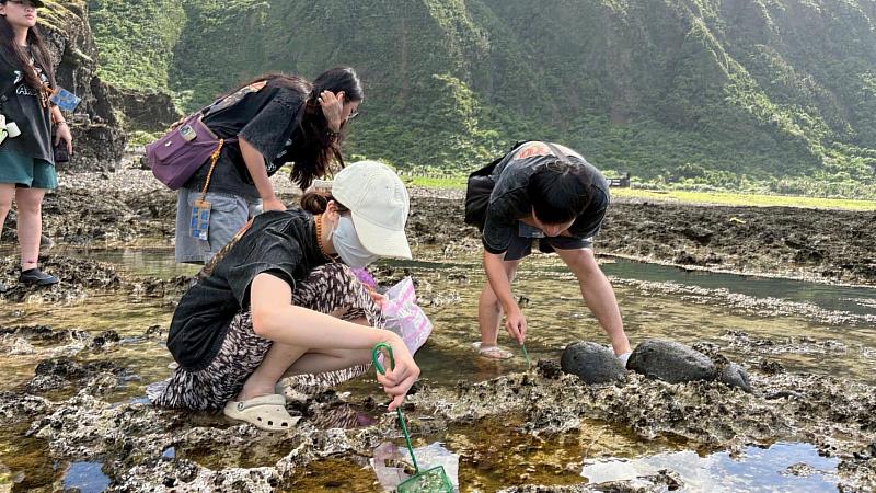 潮間帶生態知識走讀。