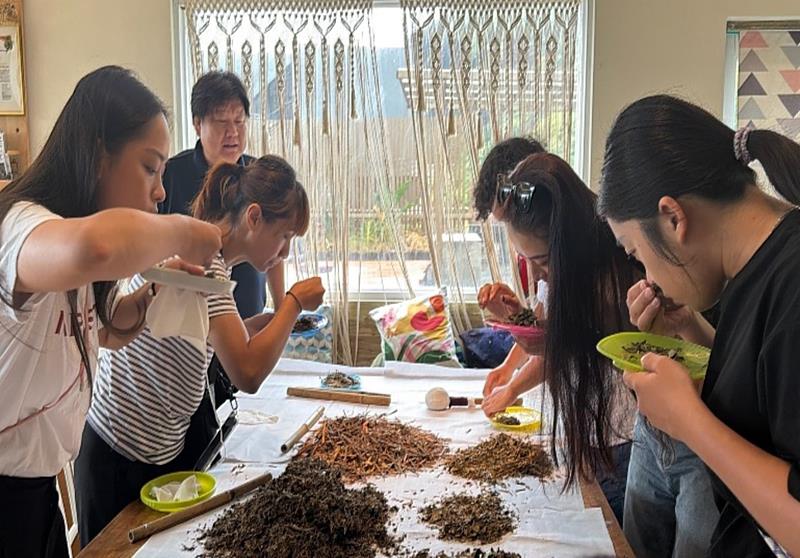 草本按摩槌體驗。