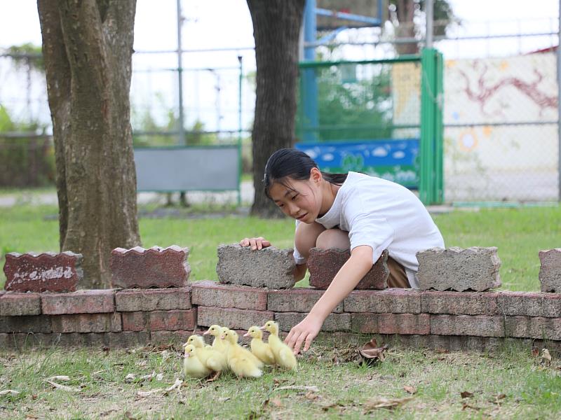 嘉義縣首座公辦公營華德福實驗小學揭牌 排路國小開啟多元教育新篇章