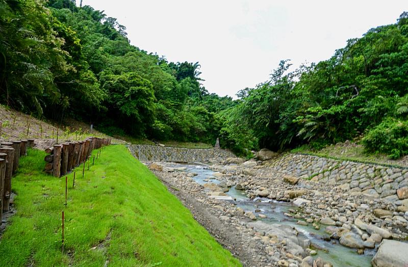 白水溪兩側進行綠化，加速裸露地植被恢復。