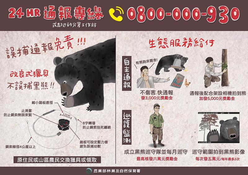 人熊相遇平平安安(2)
