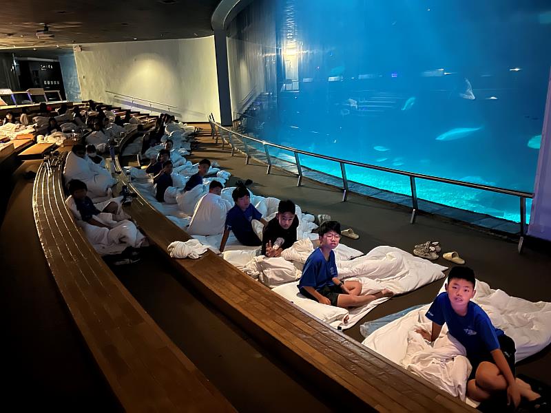 與魚共眠FUN暑假!救國團「與魚共舞.夜宿海生館」帶領學童探索海洋世界