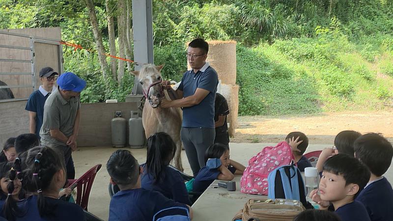 景文科大辦馬術夏令營,陪家扶童寓教於樂地學習生命教育。
