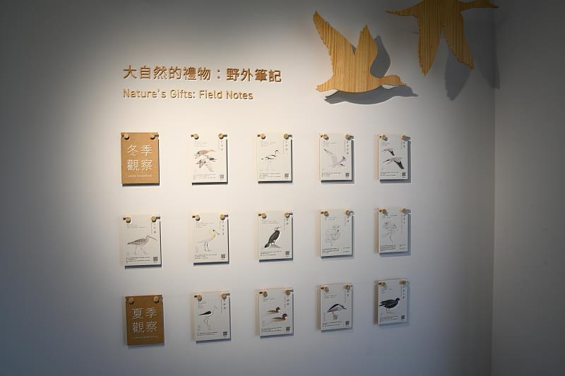 透過導覽解說認識鰲鼓濕地四季景觀,以及生活於濕地中的多樣鳥類。