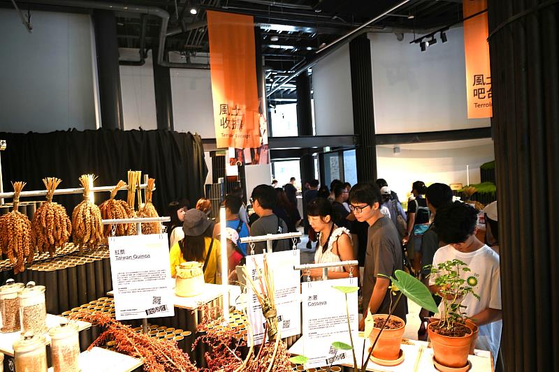 臺東「未來超市」倒數計時!直奔樹屋廣場一次解鎖5大風土展區!