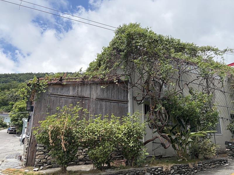 臺東金峰鄉新興村榮獲環境部低碳永續家園「銀級認證」