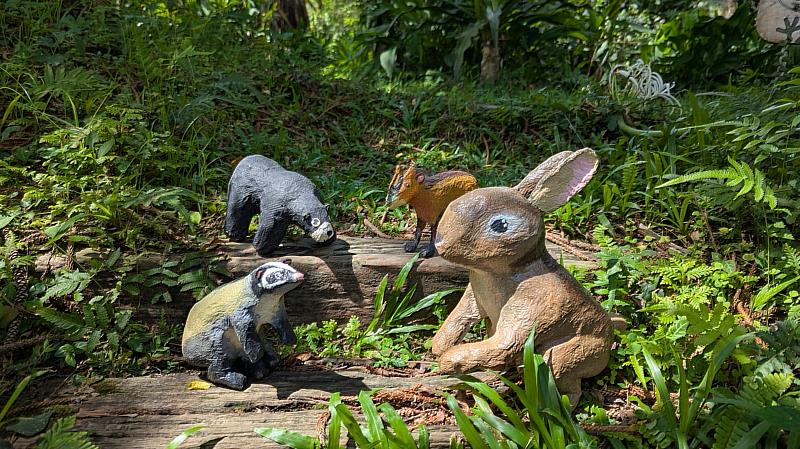 秋享森林同樂會,跟著淺山動物出發去森林裡探險。