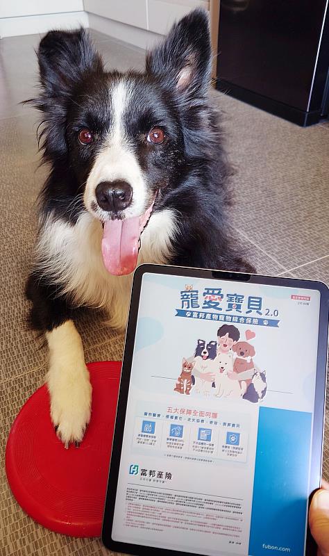 富邦產險「寵愛寶貝2.0」讓飼主提前做好風險規劃,近期也祭出多項跨業合作優惠,針對夏季常見的寄生蟲防治需求,也與「一錠除」推出專屬優惠方案。
