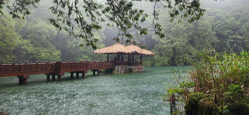 阿里山國家森林遊樂區姊妹潭因雨泛起陣陣漣漪。（圖為姊潭）
