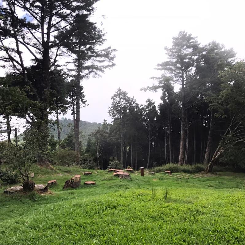 阿里山植物園草地。