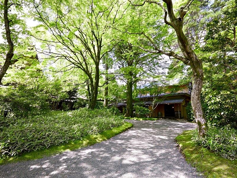 「龜之井別莊」位於湯布院金鱗湖畔，創業於1921年。旅館坐落於自然林間，離館、客房與茶房分散於庭園之中，透過林間小徑串聯，彷彿一座隱身森林的私人別邸。