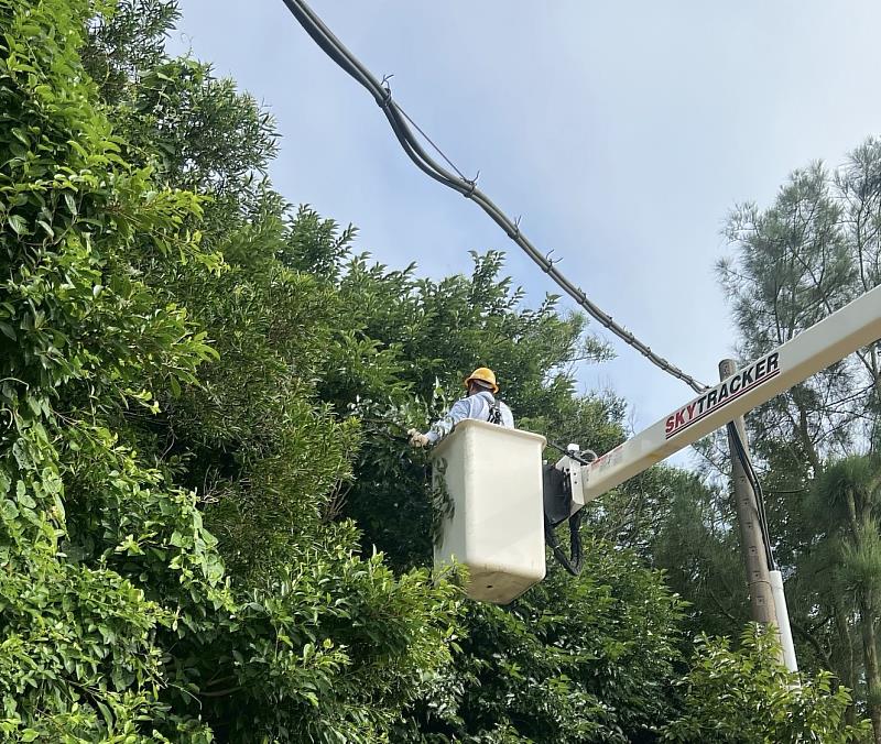 台電馬祖區處在颱風來臨前,完成預防性樹木修剪,嚴防強風豪雨可能造成的災害。