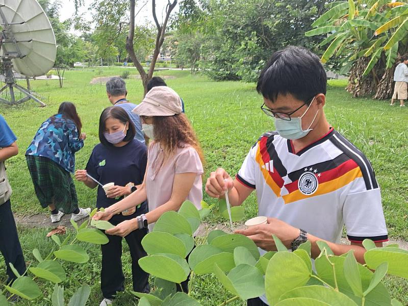 楊悠娟教授於戶外解說植物葉表之疏水性。