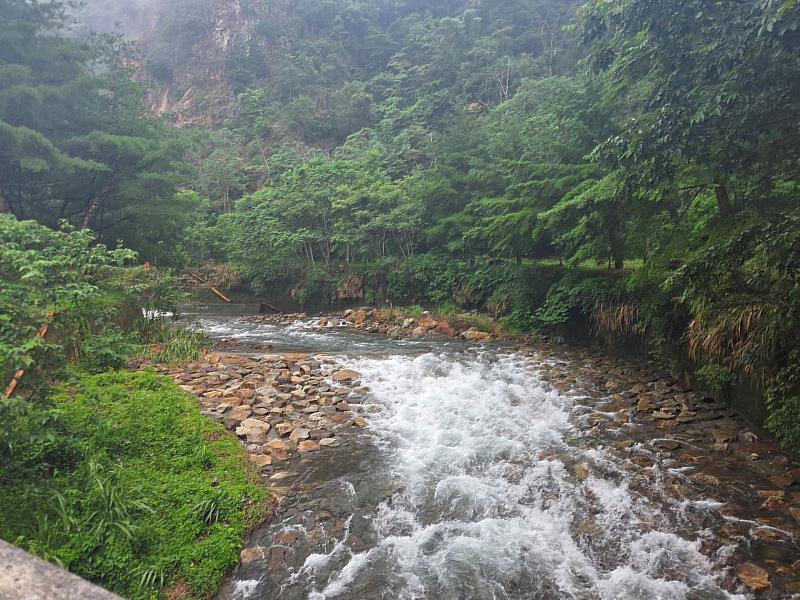 溪流轉彎處配合斜坡式魚道，實踐防災與生態共存。