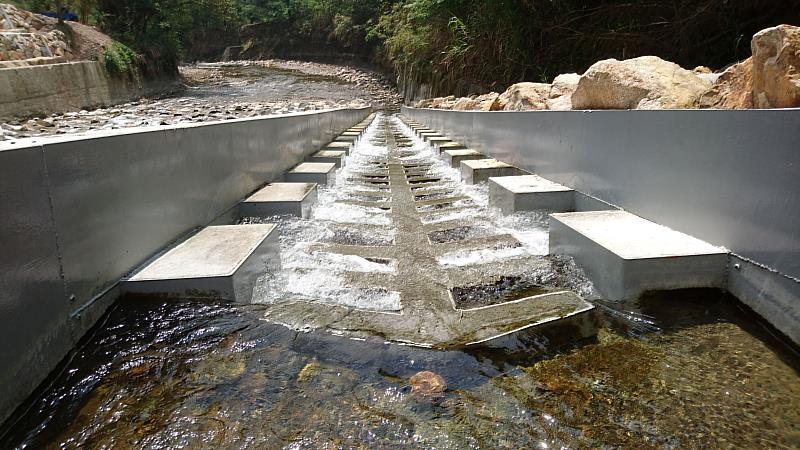 舟通式魚道，魚骨狀阻流搭配矩形休息區。