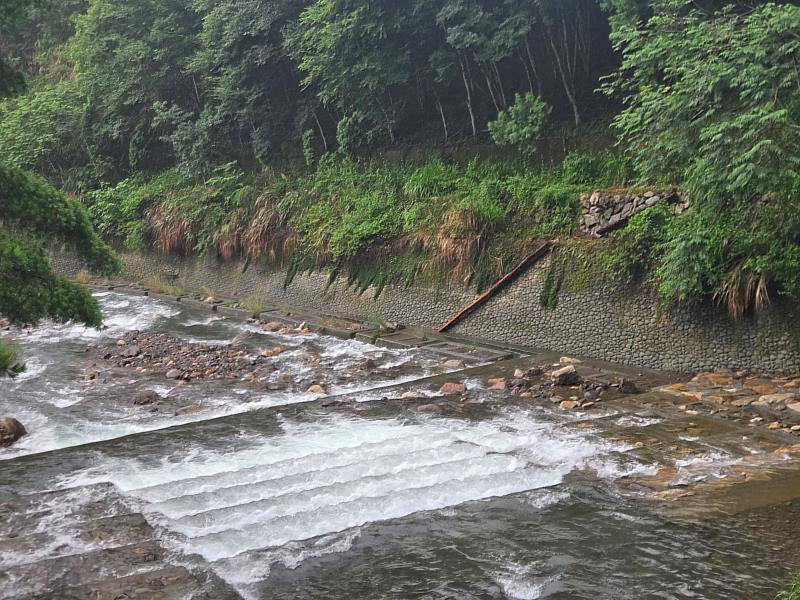 護岸兩側以柳杉國產材施作動物通道，串聯棲地。
