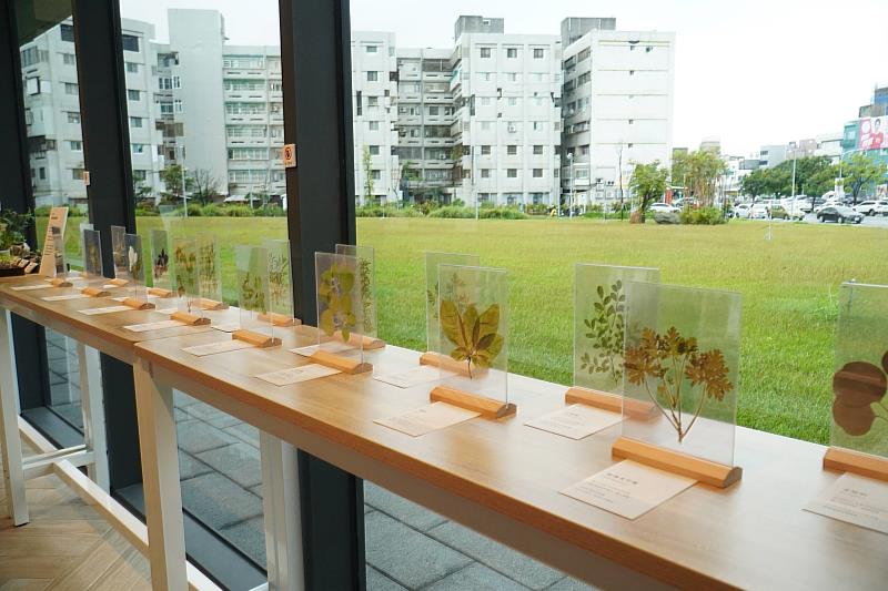 台東香草圖書館開展 縣府邀您隨著香氣閱讀自己 讓香草讀懂你的生活