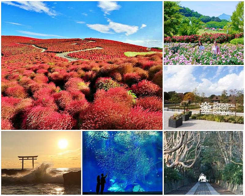 茨城代表性景點「國營常陸海濱公園」，春季粉蝶花盛開時，整片丘陵化為夢幻藍色；秋季則換上鮮紅色掃帚草。由於丘陵另一側就是太平洋，花朵、天空與海洋交織出的景色，形成極具代表性的季節限定絕景。「茨城花卉公園」於2021年重新開幕，全年皆可欣賞不同花卉，其中約900個品種的玫瑰最具特色。2025年重新開幕的「THE BOTANICAL RESORT 林音」，則以「可以住宿的植物園」為概念，結合豪華露營、自然體驗、餐廳、三溫暖及溫浴設施，提供旅客不同於傳統景點的度假體驗。