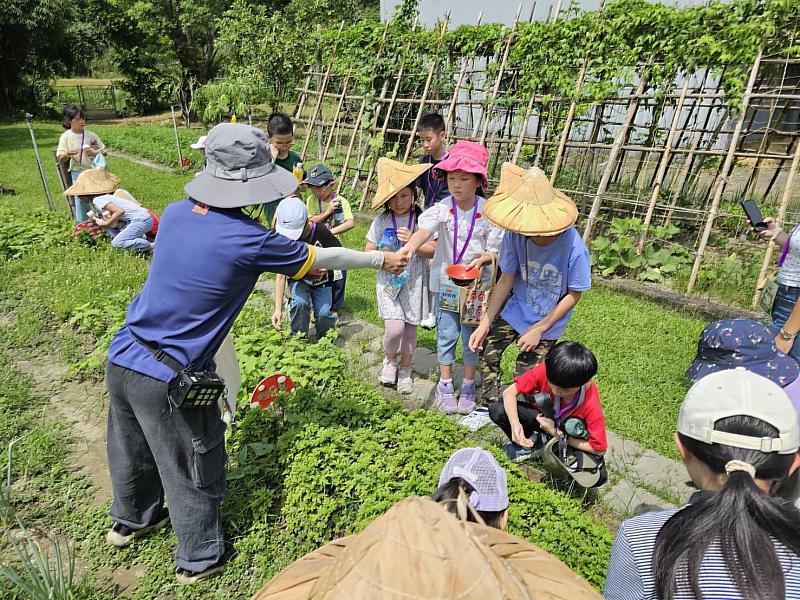 暑假不宅家!救國團台北市團委會帶領70位學童探索體驗農村樂活