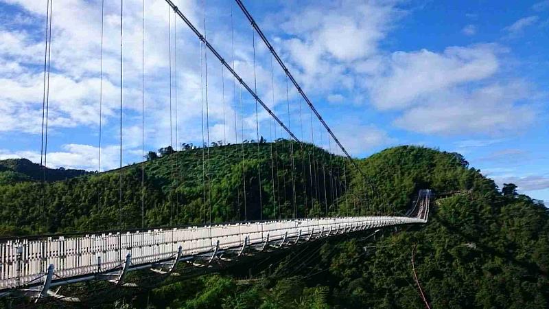 秋日山城限定生態奇景「萬鷺朝鳳」登場 順遊太平、太興