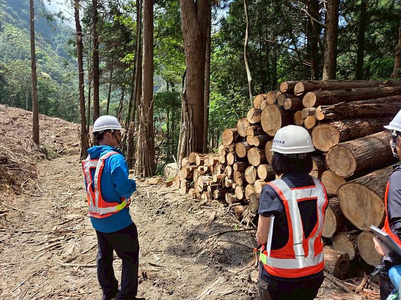 林業保育署臺中分署轄內近14萬公頃林地於2023年全數通過FSC驗證，強化組織在森林永續管理與法規遵循之專業，督促同仁在社區互動與治理透明度上持續精進。