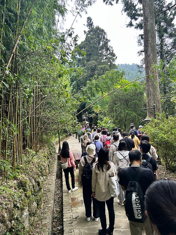 縣府推雙語實境學習 阿里山山林裡學英語、識失智