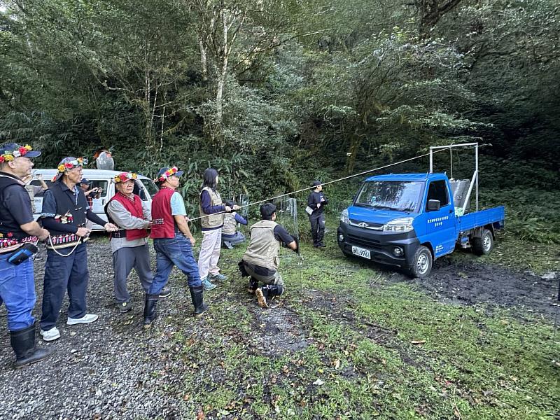 野放開籠前置作業。