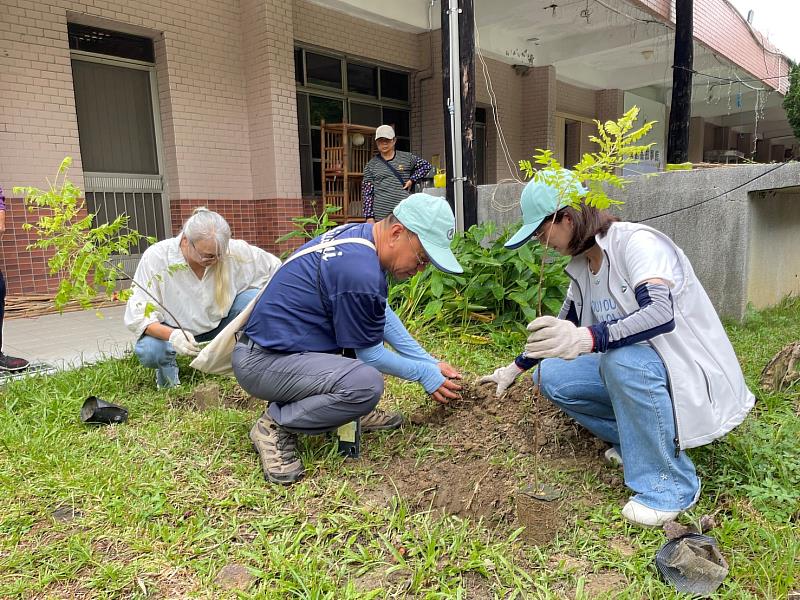 移除小花蔓澤蘭後種植原生植物,降低外來種重新入侵的機會