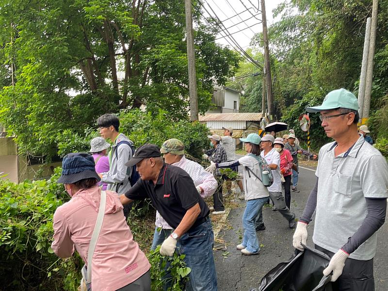 趕在小花蔓澤蘭開花結實擴散前移除,為山林守住原生植物生長空間