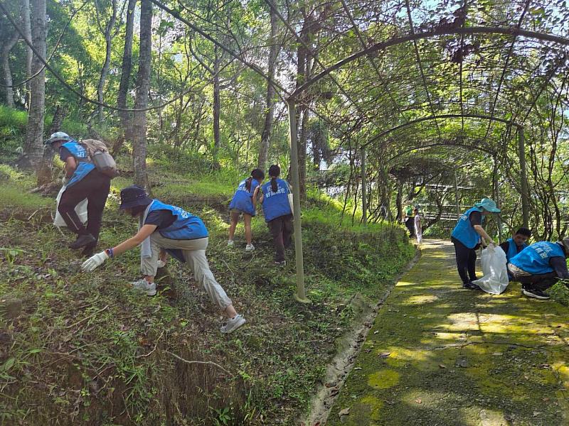 企業志工移除小花蔓澤蘭照